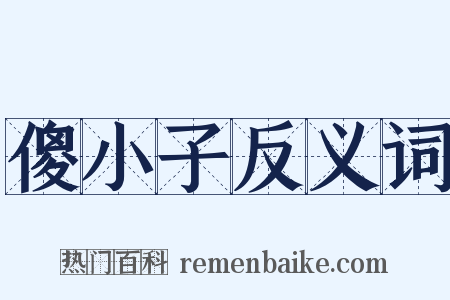傻小子反义词是什么意思的图片